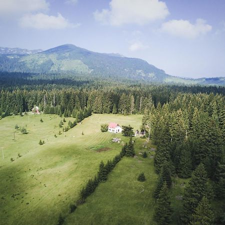 Homestay Djerkovic Žabljak Εξωτερικό φωτογραφία
