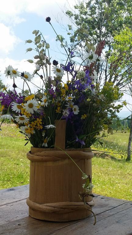 Homestay Djerkovic Žabljak Δωμάτιο φωτογραφία