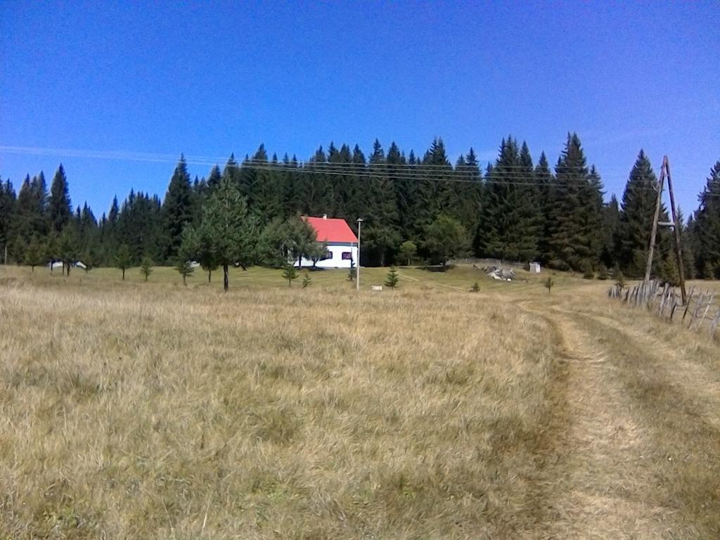 Homestay Djerkovic Žabljak Εξωτερικό φωτογραφία