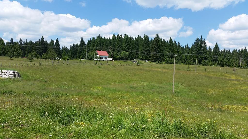 Homestay Djerkovic Žabljak Εξωτερικό φωτογραφία